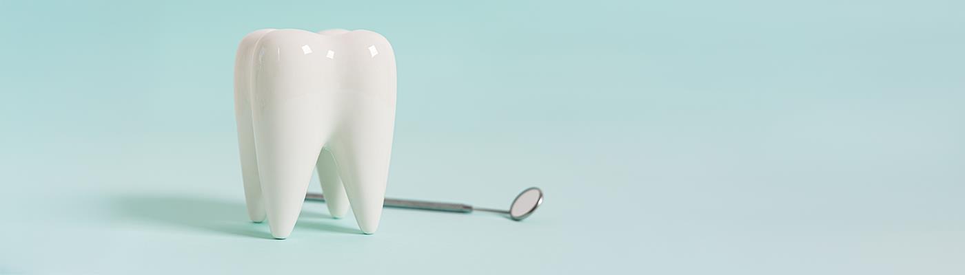 periodontist pointing at scans